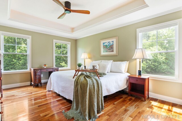 7150 Limerick Ln SW, Byron Center, MI 49315 - bedroom with a raised ceiling, ornamental molding, wood-type flooring, and ceiling fan