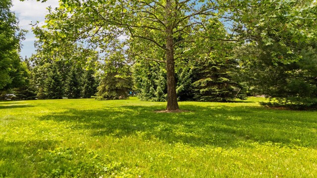 2834 Pittsfield Blvd, Ann Arbor, MI 48104 - photo 19