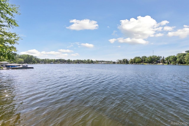 1673 Edwin Dr, Brighton, MI 48114 - photo 22