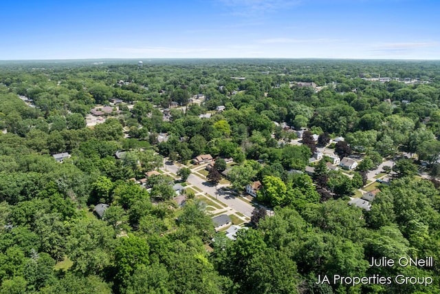 1035 Eastern Ave NE, Grand Rapids, MI 49503 - drone / aerial view of a forest