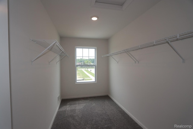 54695 Heron Cir, New Baltimore, MI 48047 - photo 12