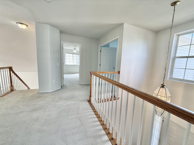 1605 Scio Ridge Rd, Ann Arbor, MI 48103 - photo 46