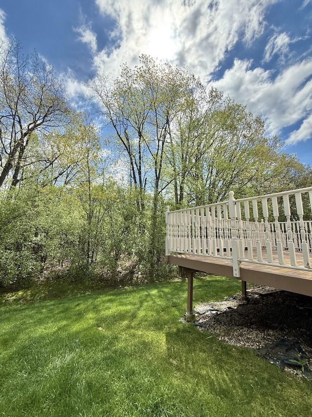 1605 Scio Ridge Rd, Ann Arbor, MI 48103 - photo 51