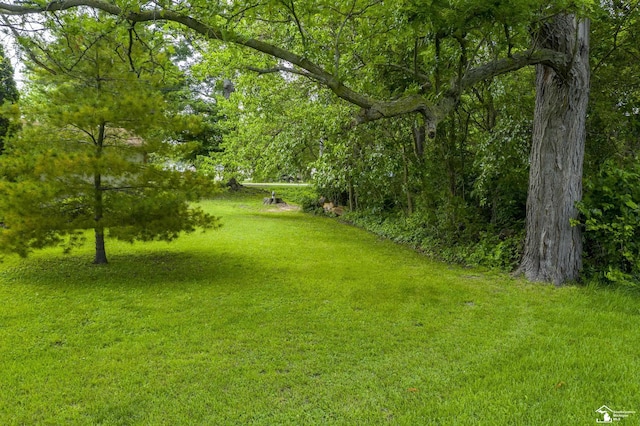 2030 W Sterns Rd, Temperance, MI 48182 - view of grassy yard featuring a forest view