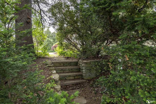 2030 W Sterns Rd, Temperance, MI 48182 - view of yard