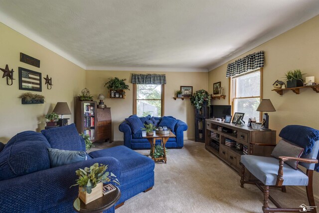 2030 W Sterns Rd, Temperance, MI 48182 - view of carpeted living room