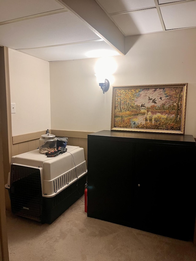 5213 Crocus Ave, Lansing, MI 48911 - bedroom with carpet flooring and a wainscoted wall