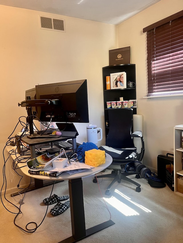 5213 Crocus Ave, Lansing, MI 48911 - office area with carpet flooring