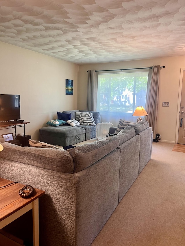 5213 Crocus Ave, Lansing, MI 48911 - living room with light colored carpet