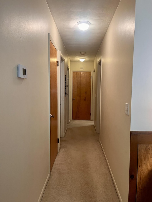 5213 Crocus Ave, Lansing, MI 48911 - corridor featuring light carpet and baseboards