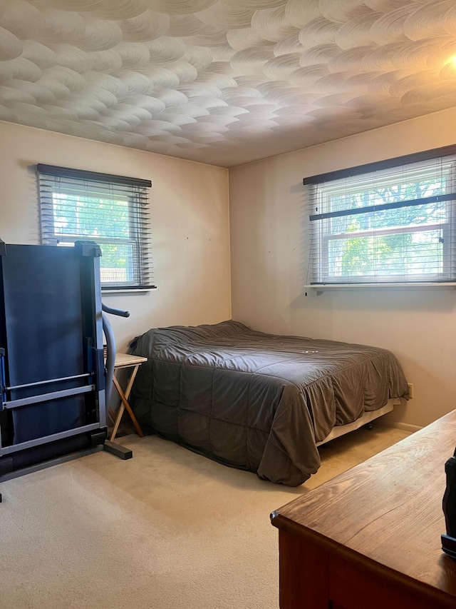5213 Crocus Ave, Lansing, MI 48911 - bedroom featuring carpet flooring