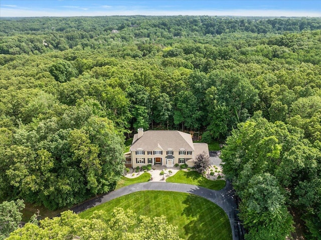 4608 Old Grand River Trl NE, Ada, MI 49301 - view from above of property with a heavily wooded area