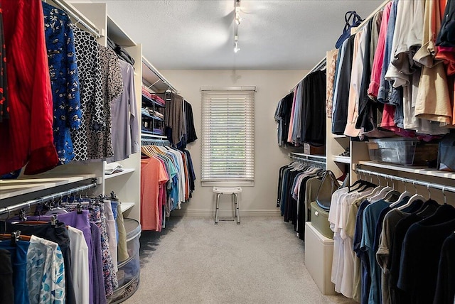 4608 Old Grand River Trl NE, Ada, MI 49301 - walk in closet featuring carpet floors