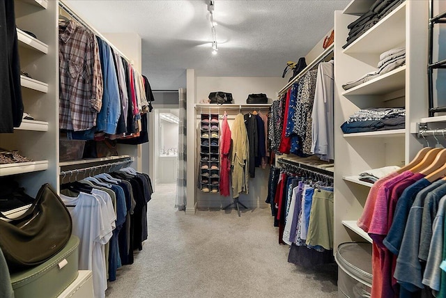 4608 Old Grand River Trl NE, Ada, MI 49301 - walk in closet featuring carpet flooring