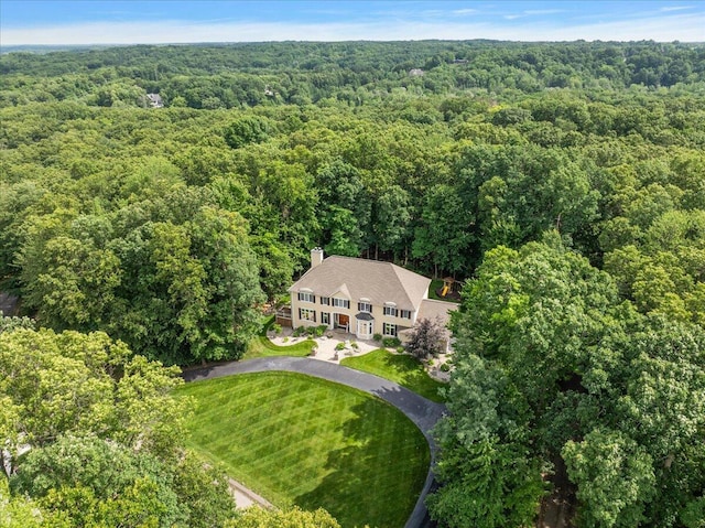 4608 Old Grand River Trl NE, Ada, MI 49301 - aerial view of property and surrounding area with a heavily wooded area