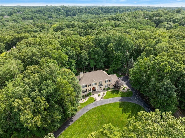 4608 Old Grand River Trl NE, Ada, MI 49301 - aerial view of property and surrounding area featuring a forest