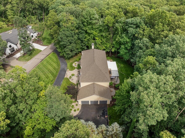 4608 Old Grand River Trl NE, Ada, MI 49301 - aerial view of a heavily wooded area