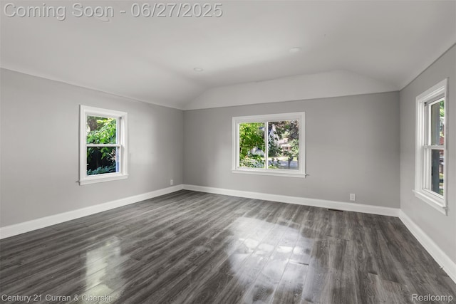 19349 Negaunee, Redford, MI 48240 - spare room with plenty of natural light, vaulted ceiling, and dark wood-style flooring