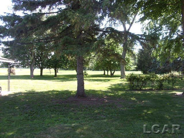 9981 W Mulberry Rd, Morenci, MI 49256 - view of green lawn