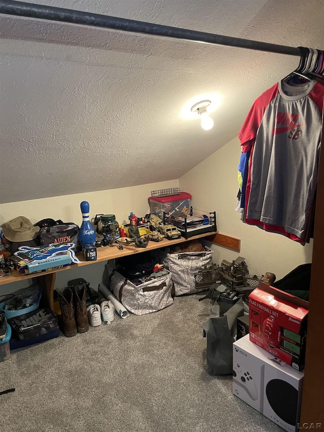 9981 W Mulberry Rd, Morenci, MI 49256 - spacious closet with carpet