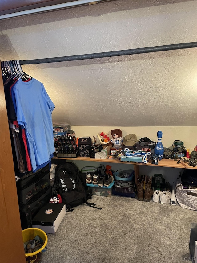 9981 W Mulberry Rd, Morenci, MI 49256 - spacious closet featuring carpet