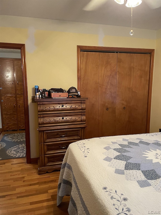 9981 W Mulberry Rd, Morenci, MI 49256 - bedroom with wood finished floors, a closet, and ceiling fan