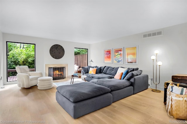 30715 River Crossing St, Bingham Farms, MI 48025 - living area featuring light wood-type flooring, a glass covered fireplace, and healthy amount of natural light
