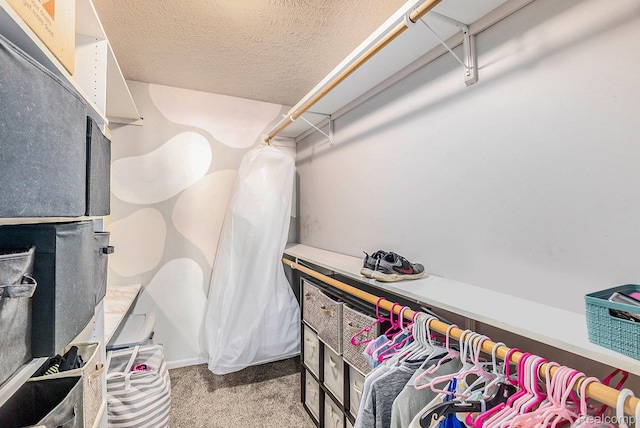 11632 Glen Mary Dr, Byron, MI 48418 - spacious closet with carpet flooring