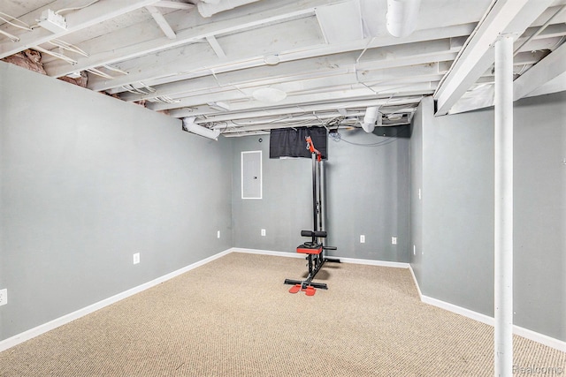 11632 Glen Mary Dr, Byron, MI 48418 - workout area featuring carpet flooring and electric panel