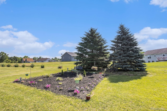 11632 Glen Mary Dr, Byron, MI 48418 - view of green lawn with a residential view