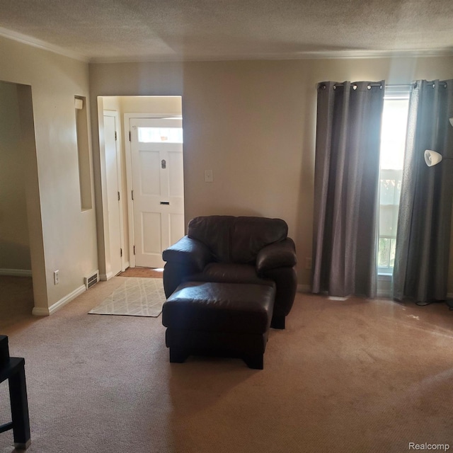 18918 Hartwell, Detroit, MI 48235 - living room featuring carpet floors, a textured ceiling, and ornamental molding