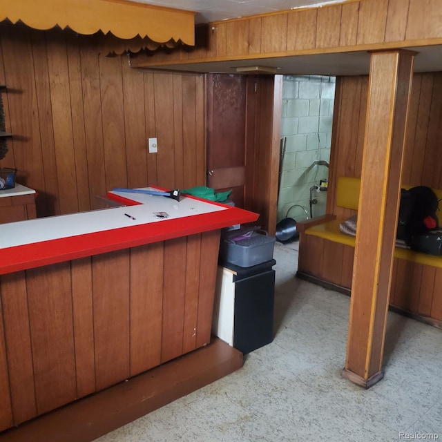 18918 Hartwell, Detroit, MI 48235 - finished basement with wooden walls
