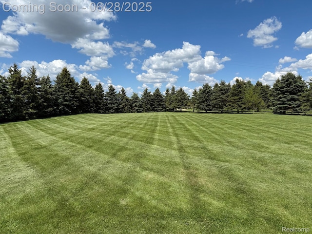 2652 Murphy Lake Rd, Silverwood, MI 48760 - view of green lawn