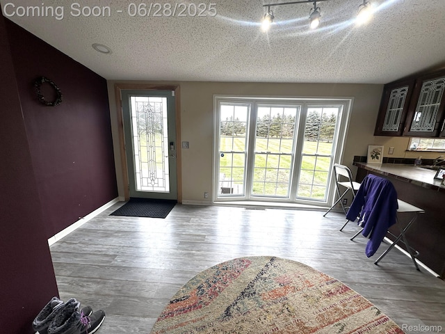 2652 Murphy Lake Rd, Silverwood, MI 48760 - entryway with a textured ceiling and wood finished floors
