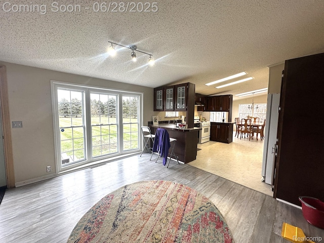 2652 Murphy Lake Rd, Silverwood, MI 48760 - kitchen with white appliances, dark brown cabinetry, a peninsula, glass insert cabinets, and light wood-style floors