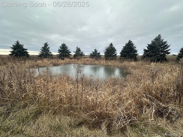 2652 Murphy Lake Rd, Silverwood, MI 48760 - water view