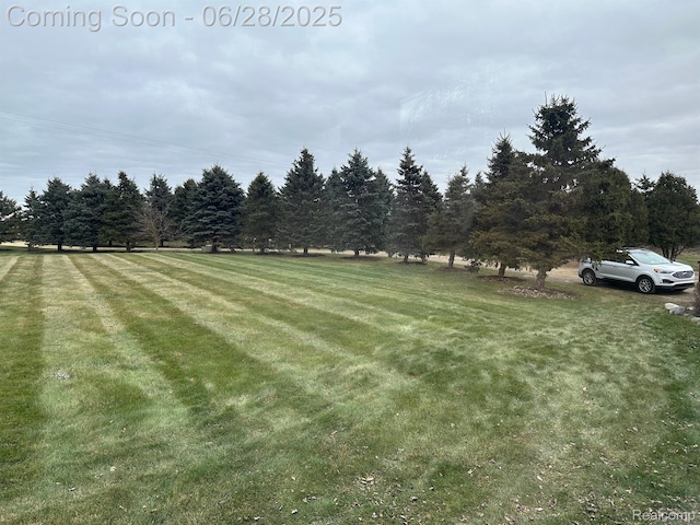 2652 Murphy Lake Rd, Silverwood, MI 48760 - view of green lawn