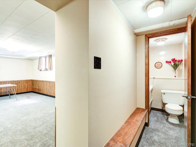 2815 Military St, Fort Gratiot, MI 48060 - corridor with carpet flooring, a wainscoted wall, ornamental molding, and wood walls