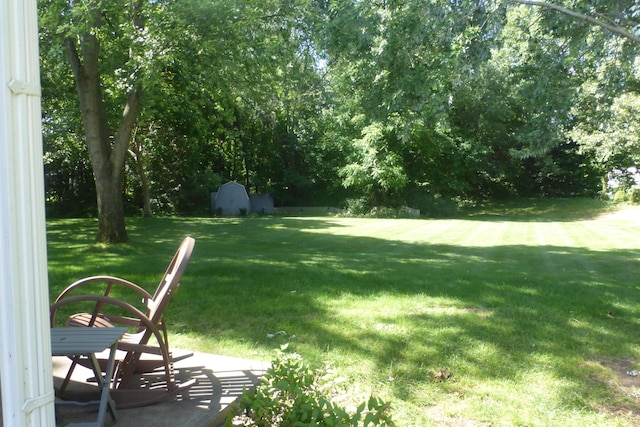 1314 Honeysuckle Ln, Niles, MI 49120 - view of grassy yard with a storage unit