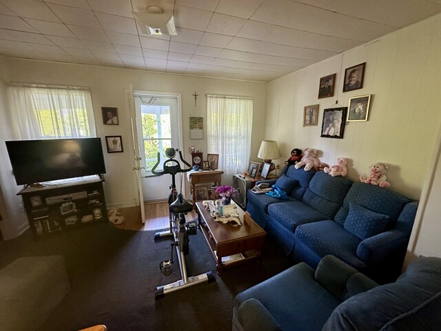 1805 Lakeshore Dr, Saint Joseph, MI 49085 - view of carpeted living area