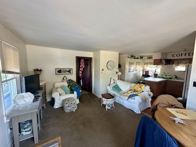 1805 Lakeshore Dr, Saint Joseph, MI 49085 - living area with carpet