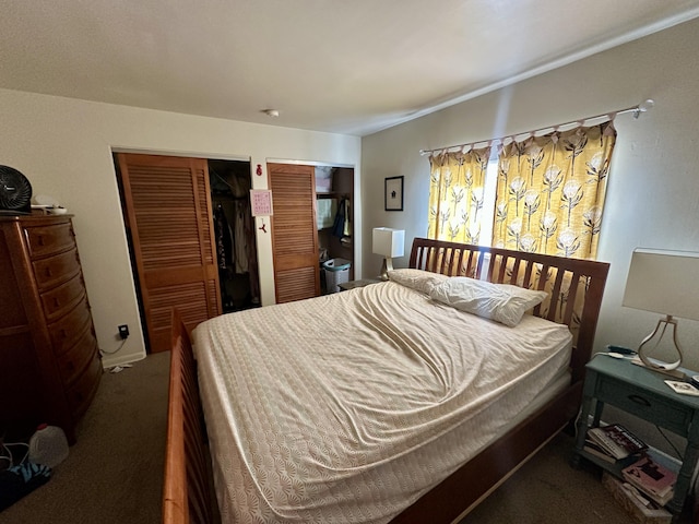 1805 Lakeshore Dr, Saint Joseph, MI 49085 - bedroom with carpet and multiple closets