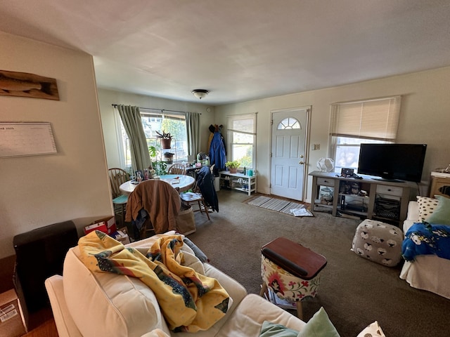 1805 Lakeshore Dr, Saint Joseph, MI 49085 - view of carpeted living room