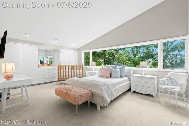 2095 Brighton Shores Trl, Howell, MI 48843 - photo 29