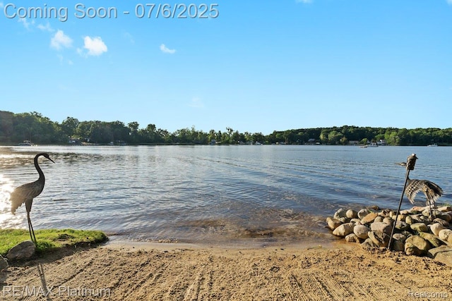2095 Brighton Shores Trl, Howell, MI 48843 - photo 60