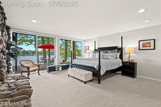 2095 Brighton Shores Trl, Howell, MI 48843 - photo 45