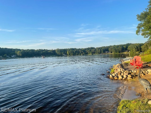 2095 Brighton Shores Trl, Howell, MI 48843 - photo 89