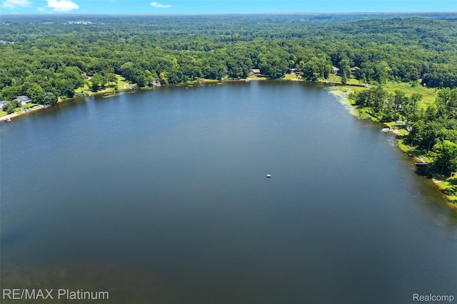 2095 Brighton Shores Trl, Howell, MI 48843 - photo 86