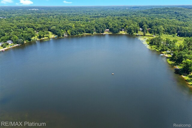 2095 Brighton Shores Trl, Howell, MI 48843 - photo 85