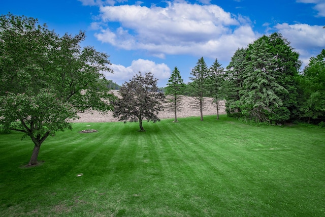 7640 W H Ave, Kalamazoo, MI 49009 - view of green lawn